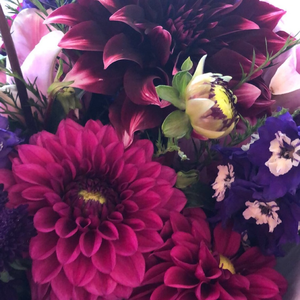 Meet your Posher, Shae